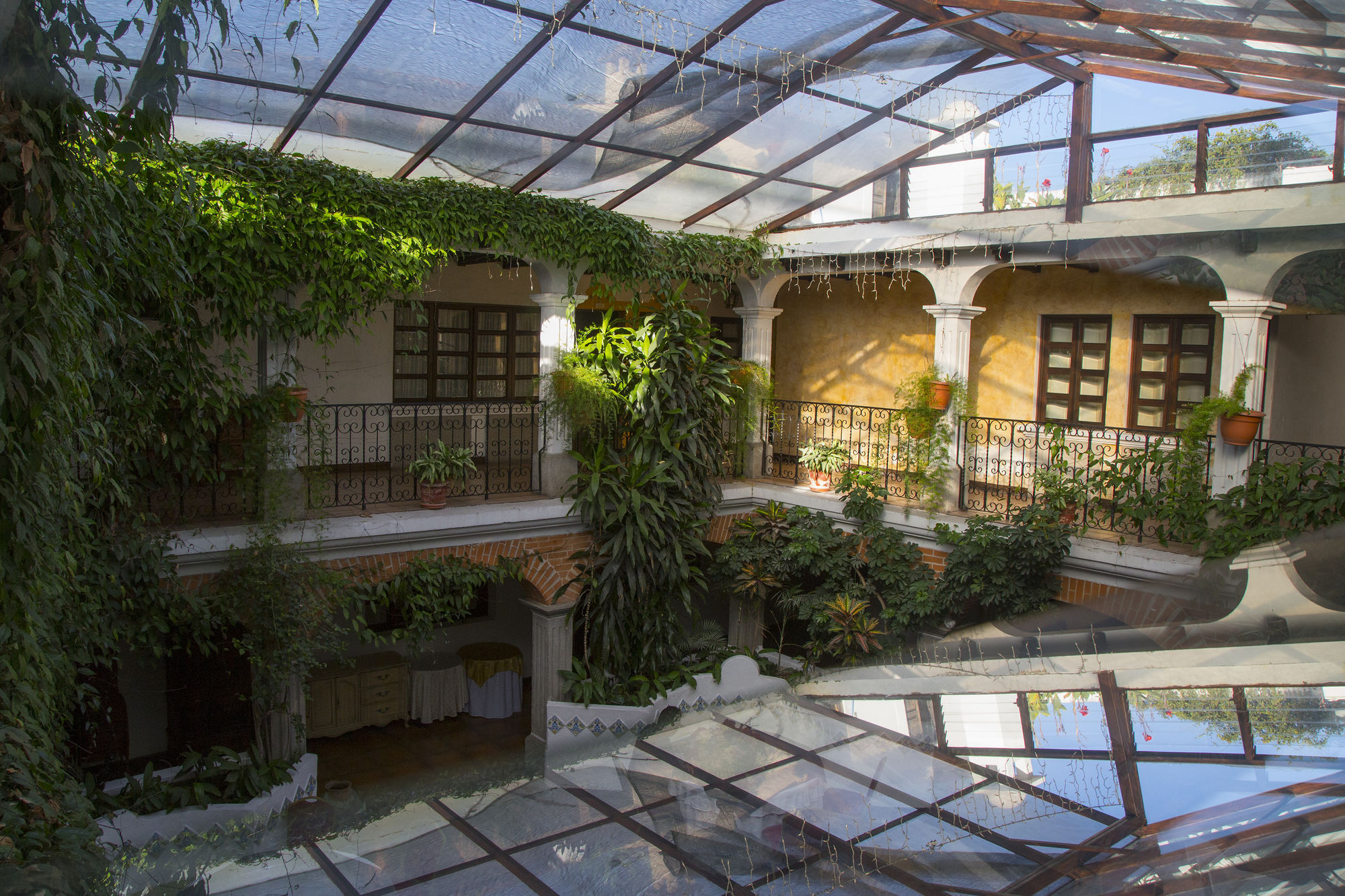 El Carmen 3*